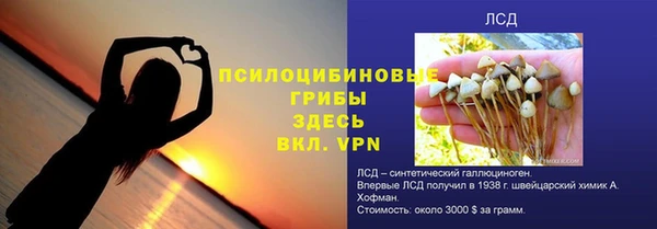 винт Алексин