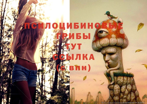 прущие крисы Алексеевка
