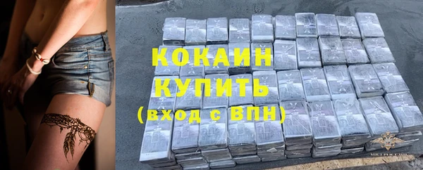 винт Алексин